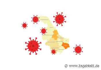Inzidenz, Infektionen, Impfungen: Die Corona-Lage im Kreis Stade - Landkreis Stade - Tageblatt-online