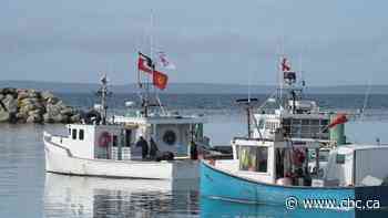 An appeal for calm as tensions rise again over N.S. Indigenous lobster fishery