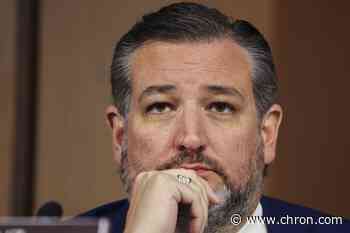 This 'Daily Show' compilation trolls Texas Senator Ted Cruz for overusing this Yiddish word
