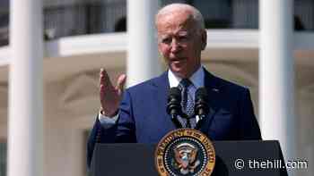 Biden nominates Elizabeth Prelogar as solicitor general