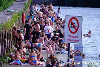 Zwemevenement in populair dok krijgt geen vergunning: dan maar een ‘Dobberdag’