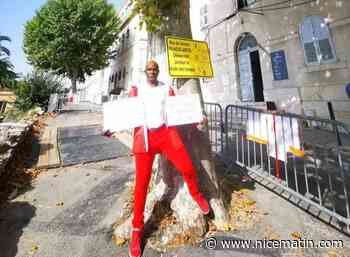 Près de 27.000 signatures contre l’abattage de deux platanes à Grasse