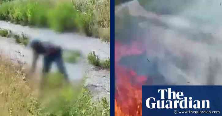Video captures moment arsonist sets fire to grass in southern Italy  – video