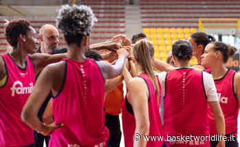 A1 femminile: Primo giorno di lavoro per il Famila Schio di coach Dikaioulakos - Basket World Life