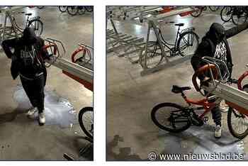 Politie zoekt fietsendief