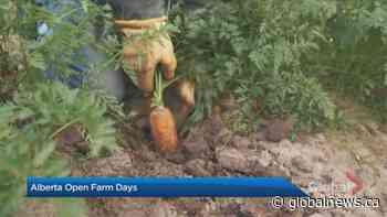 Learn more about Alberta Open Farm Days 2021