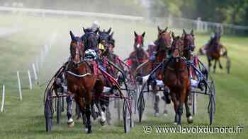 précédent Des courses hippiques supplémentaires le 8 août à Arras - La Voix du Nord