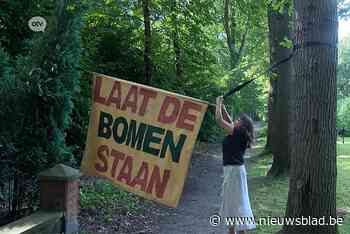 Buurtbewoners verzetten zich tegen kap van 100-tal Amerikaanse eiken