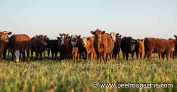 Apply nitrogen to pastures now; boost forage production