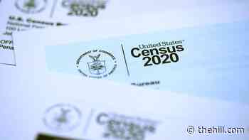 New Census data to show US diversifying at fastest rate ever