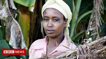 Earth Photo 2021 winners announced