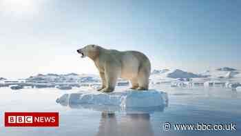 Climate change: Five things we have learned from the IPCC report