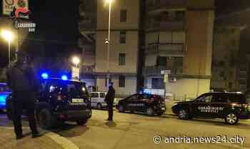 Aggressione in villa Comunale per futili motivi: un ferito ed un fermo da parte dei Carabinieri - Andria news24city