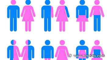 Buenos Aires busca incorporar a las personas de sexo no binario en conformación de listas - ámbito.com