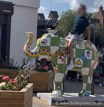 Man filmed leaping onto St Richard's Hospice elephant | Dudley News - Dudley News