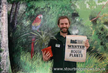 Dudley Zoo and Castle issues appeal for potted houseplants | Stourbridge News - Stourbridge News