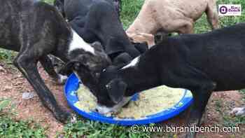 [In Re Bruno] Erect signposts to prevent harassment of persons feeding stray dogs at dedicated feeding points: Kerala High Court - Bar & Bench - Indian Legal News