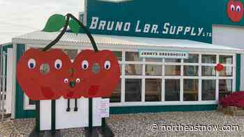Everything cheery at Bruno's Cherry Sunday - northeastNOW