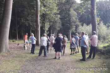 Kap Amerikaanse eiken in park Redemptoristen moet leiden tot meer biodiversiteit