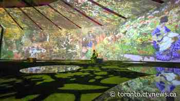 'Probably the prettiest thing you could do in Toronto': world-premiere exhibit envelopes visitors in Monet's paintings