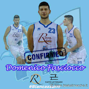 Ufficiale, il Pescara Basket conferma l'ala Domenico Fasciocco - Serie C Gold - Basketmarche.it