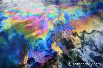 Unexpected Discovery: Marine Bacteria in Canadian Arctic Capable of Biodegrading Diesel and Oil