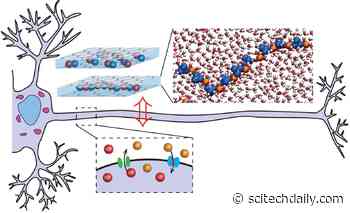 Brain-Inspired Electronics: An Artificial Ionic Neuron for Tomorrow’s Electronic Memories