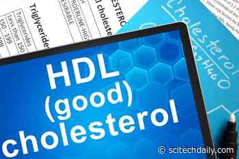 Another Way HDL “Good” Cholesterol Is Good: Combatting Inflammation