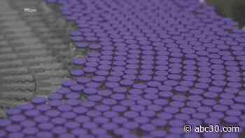 FDA expected to OK COVID booster shots for immunocompromised Americans within 48 hours