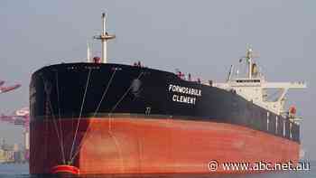 Sailor bound for family after months at sea crushed to death off Queensland coast