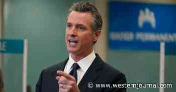 Gov. Newsom Snaps, Goes Off During Interview: 'Everybody Outside This State Is B****ing About This State'