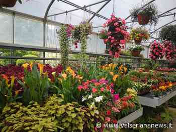 Clusone, "Il Giardino" di Angelo Balduzzi si veste d'estate - Valseriana News - Valseriana News