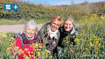 Marsberg: Deutsch-Französische Städtefreundschaft lebt - Westfalenpost