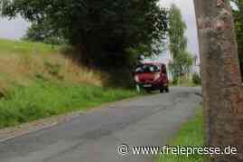 Letzter Baum ist krank - Freie Presse