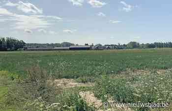 Landbouwbedrijf in Gors-Opleeuw krijgt ook geen vergunning voor varkensstal