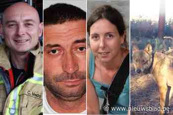 Waarom beloning voor gouden tip slechts zelden tot doorbraak leidt