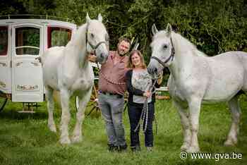 Beestjes en baasjes. Jan en Sofie trekken met paard én unieke koetsen door binnen- en buitenland - Gazet van Antwerpen