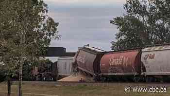 Train derails in southeast Calgary, diverts traffic