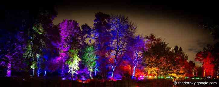 An enchanted woodland coming to Syon Park