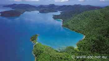 Cyclone-ravaged Hook Island to be given new lease of life after major vote