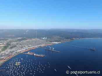 Coronel y Lirquén son los principales puertos exportadores de la Región de Los Ríos en noviembre 2020 – PortalPortuario - PortalPortuario
