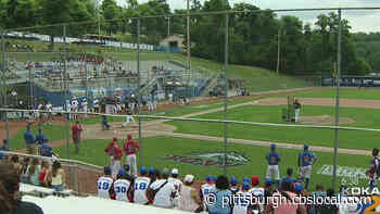2021 Pony League World Series Kicks Off This Weekend
