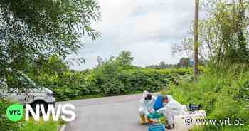 Chemisch afval gedumpt in Dilbeek - VRT NWS