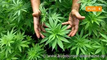 Junge Union: Ortsverband fordert Legalisierung von Cannabis