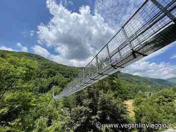 Ponte Sospeso di San Marcello Pistoiese, il più lungo d'Italia - Vegani in Viaggio