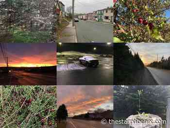 Wangersky: Walking has allowed me to find peace amidst the pandemic