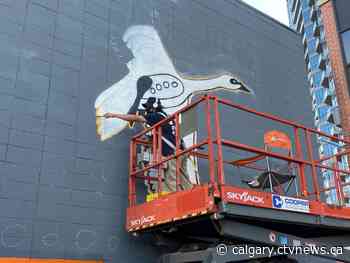 50 new murals popping up in Calgary this month as part of 2021 BUMP festival - CTV Toronto