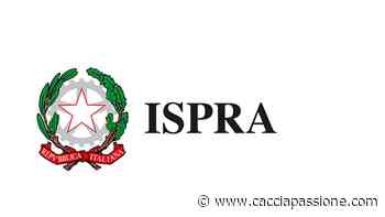ISPRA pubblica primo rapporto unico su conservazione specie e habitat - Caccia Passione - Caccia Passione