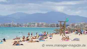 Tui: Fritz Joussen halbiert Verlust, Aktie legt zu