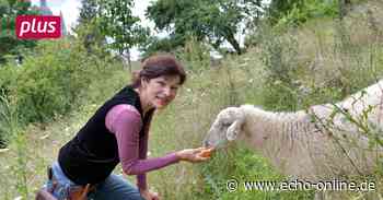 Heppenheim Neuer Hofladen für Heppenheim - Echo-online